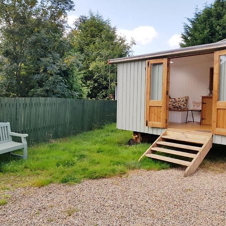 The Llama Hut Kirklevington Zewnętrze zdjęcie