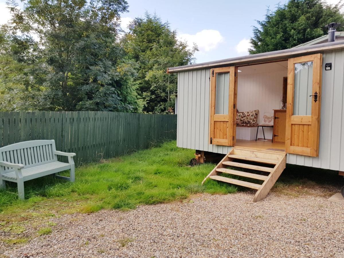 The Llama Hut Kirklevington Zewnętrze zdjęcie